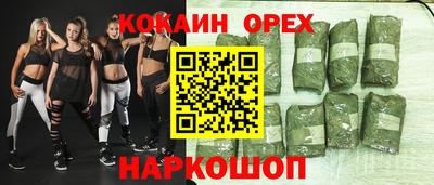 молекула духа Шелехов