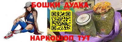 молекула духа Шелехов