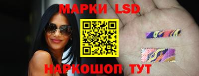 молекула духа Шелехов