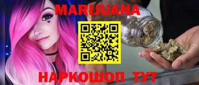 молекула духа Шелехов