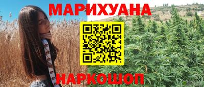 молекула духа Шебекино