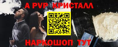 молекула духа Шелехов