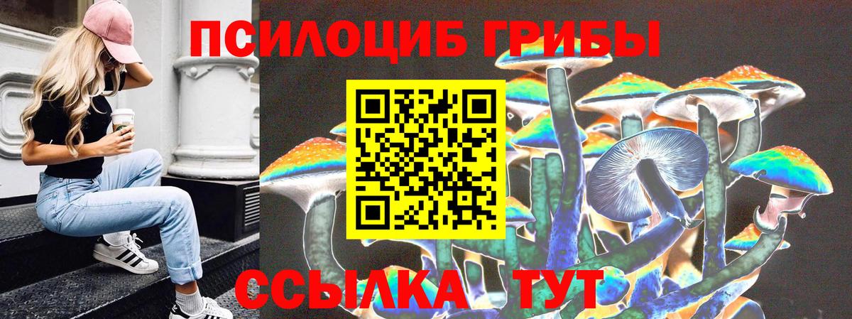 Псилоцибиновые грибы GOLDEN TEACHER  Вход с VPN  Белово  Галлюциногенные грибы MAGIC MUSHROOMS 
