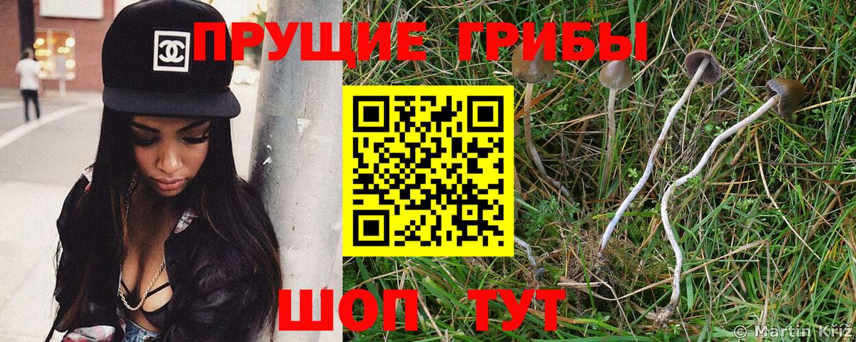 Галлюциногенные грибы прущие грибы Белово